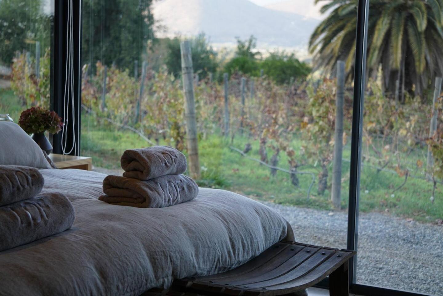 Vina Lof - Maipo Valley Bed & Breakfast In Winery Paine Exterior foto