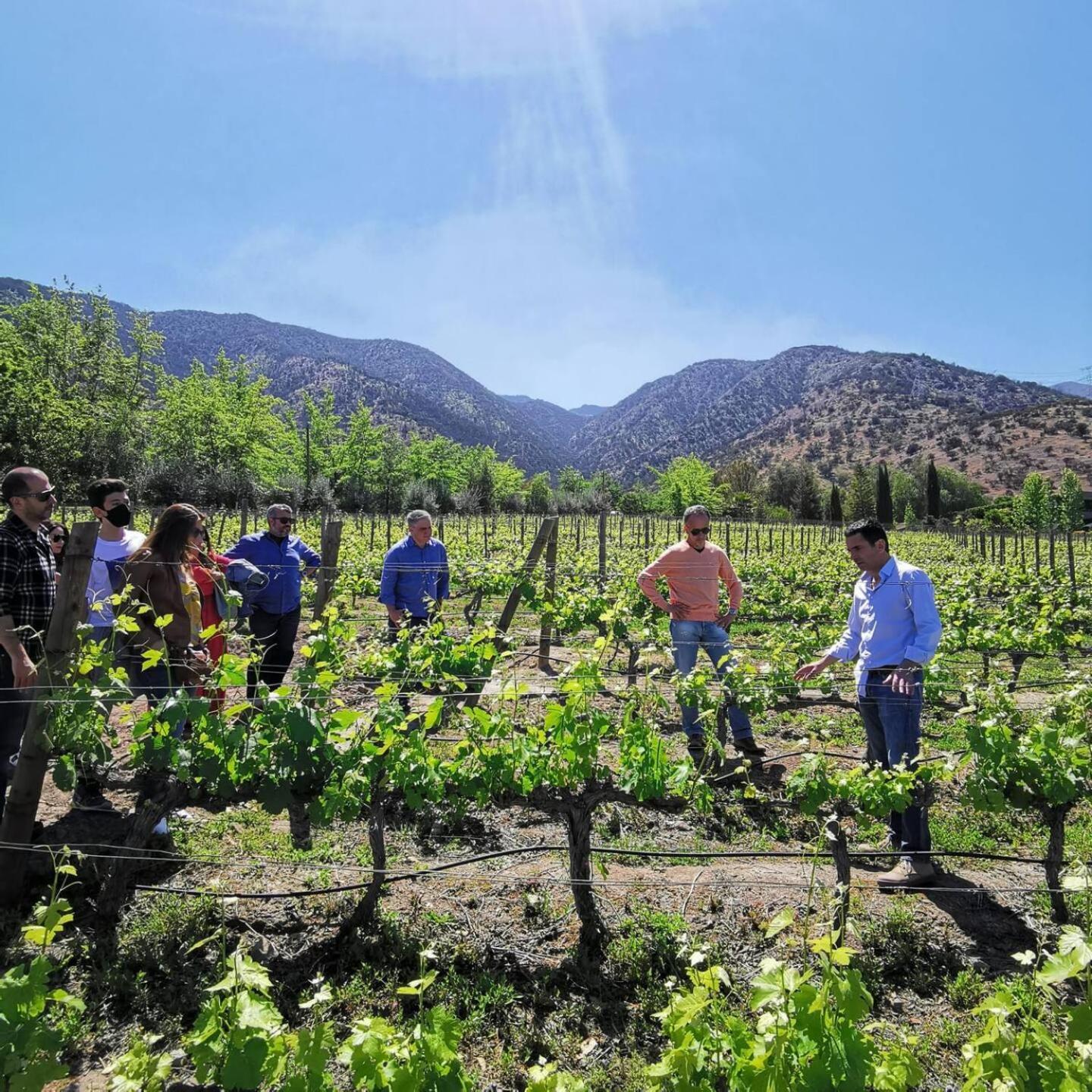 Vina Lof - Maipo Valley Bed & Breakfast In Winery Paine Exterior foto
