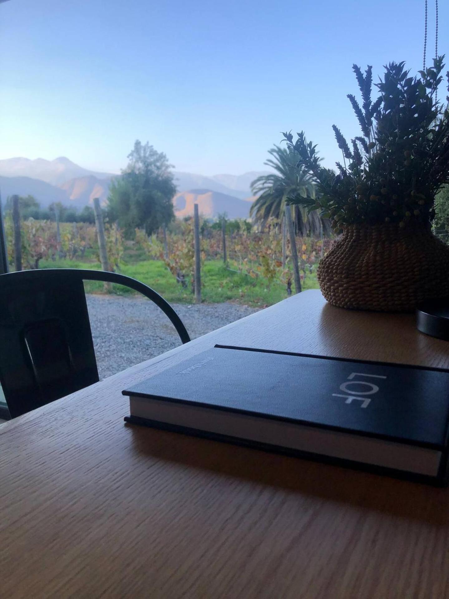 Vina Lof - Maipo Valley Bed & Breakfast In Winery Paine Exterior foto